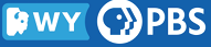 wypbs